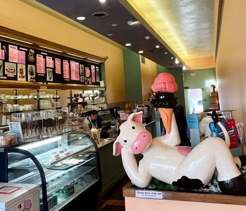 interior-lizzy's-Ice-Cream